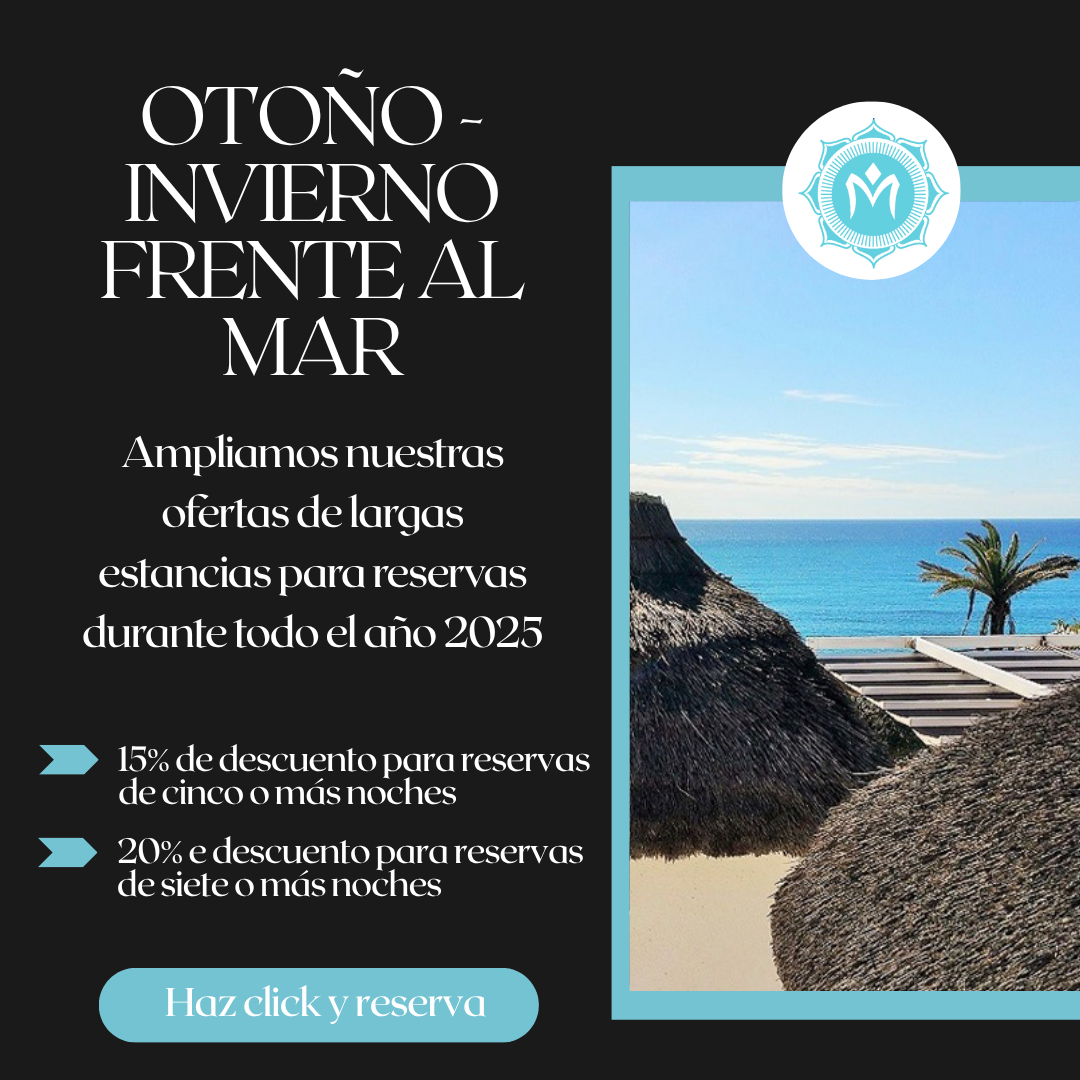 oferta otono invierno mandala